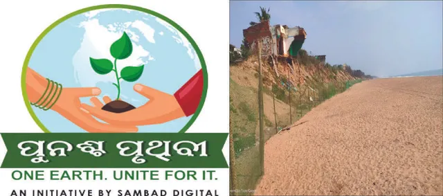 ଅଲିଭ୍‌ ରିଡ୍‌ଲେଙ୍କୁ ଜଳବାୟୁ ବିପଦ: ଅଣ୍ଡାଦାନ ବିଳମ୍ବିତ