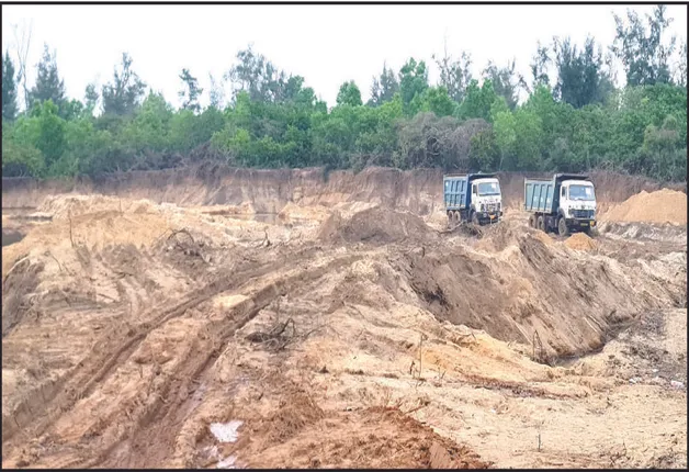 ଅଭୟାରଣ୍ୟରେ ମାତିଛନ୍ତି ବାଲି ଚୋର