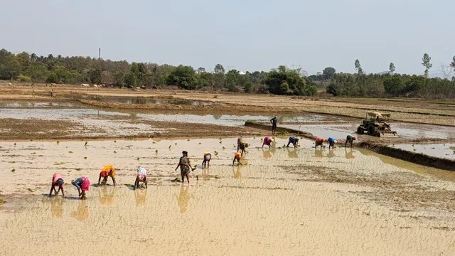 ଜିଲ୍ଲାରେ ଚାରି ବ୍ଲକକୁ ବାଦ୍ ଦେଇ ଚାଷ ପାଇଁ ଜଳସେଚନ ବ୍ୟବସ୍ଥା ସ୍ଥିତି ଭଲ ନାହିଁ