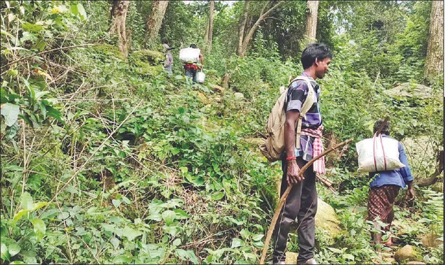 ଅଗମ୍ୟ ଅଞ୍ଚଳ, ଅପହଞ୍ଚ ବିକାଶ: ୪ଟି ପାହାଡ଼ ଚଢ଼ିଲେ ଗାଁରେ ପହଞ୍ଚିବ