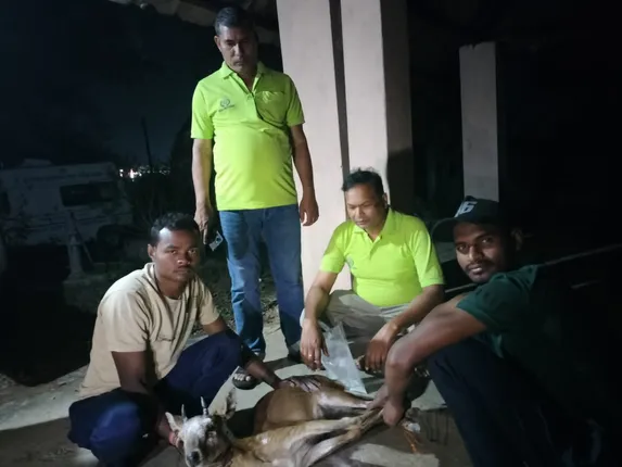 ପୁରୁଣାକଟକ ଥାନା ପରିସରରୁ କୁଟୁରା ଉଦ୍ଧାର