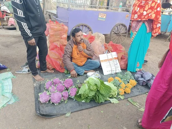 ଆୟ ବୃଦ୍ଧି ପାଇଁ ଚାଷୀଙ୍କ ଭିନ୍ନ ପ୍ରୟାସ: ଘୁମୁସର ଉଦୟଗିରି ବଜାରରେ ରଙ୍ଗବେରଙ୍ଗର ଫୁଲ-ବନ୍ଧା କୋବିର ପସରା