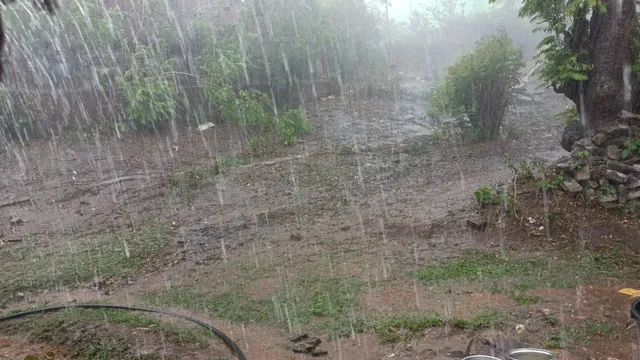 ଘୁ.ଉଦୟଗିରି ଅଞ୍ଚଳରେ କାଳବୈଶାଖୀ ପ୍ରଭାବ, ପ୍ରବଳ ପବନ, ସହ କୁଆପଥର ବର୍ଷା