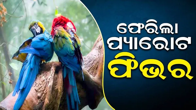 ପୁଣି ବର୍ଷେ ପରେ ଫେରିଲା ମହାମାରୀ : ନେଲାଣି ୫ ଜଣଙ୍କ ଜୀବନ, ବଢୁଛି ଆକ୍ରାନ୍ତଙ୍କ ସଂଖ୍ୟା