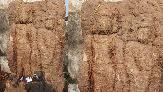 ପଥର ନିର୍ମିତ ମୂର୍ତ୍ତି ଉଦ୍ଧାର