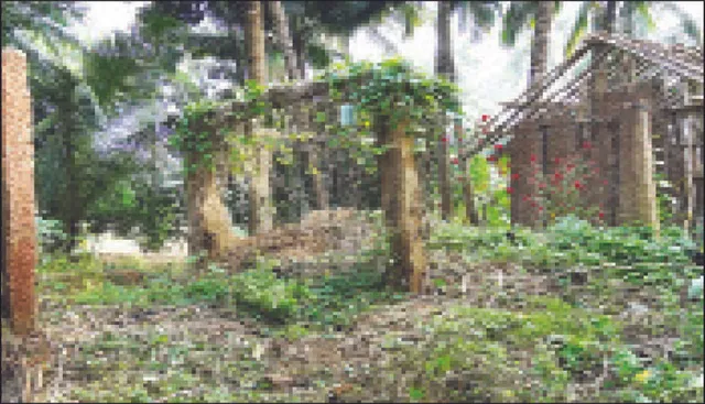 ପ୍ରଳୟଙ୍କରୀ ବନ୍ୟାକୁ ୧୩ ବର୍ଷ ବିତିଲା: ଖଇରିକୁଣ୍ଡର କ୍ଷତ ଶୁଖିଲାନି