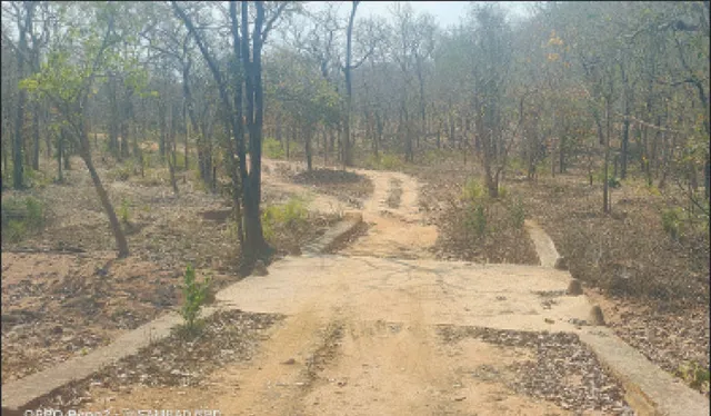 ନେତାଙ୍କ ପାଦପଡ଼ି ନଥିବା ଗାଁ ଥାଳିପାଣି: ଭୋଟ ଦେବାକୁ ଯାଆନ୍ତି ୭ କିମି