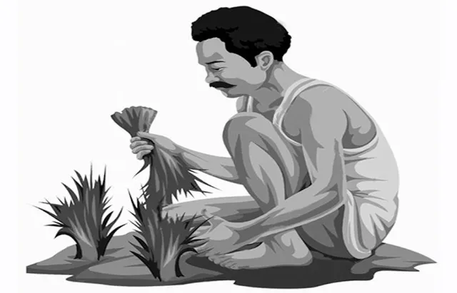 କୃଷକଙ୍କ ଆୟ, ହତାଶା ଓ ଆତ୍ମହତ୍ୟା