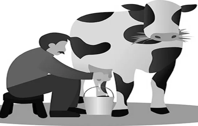 ଏଠି ମଧ୍ୟ ଦୁଗ୍‌ଧ ବନ୍ୟା ସମ୍ଭବ