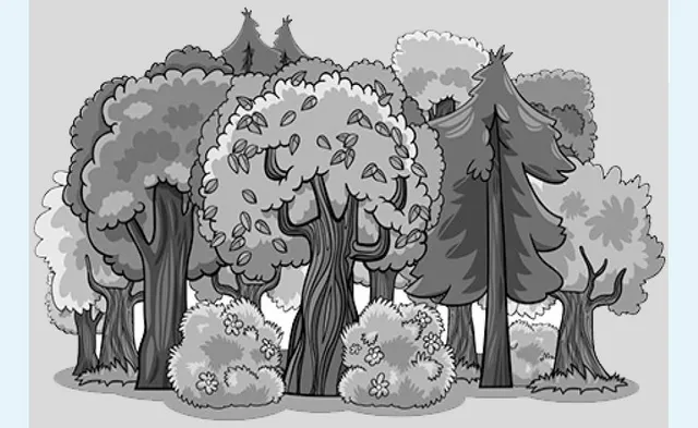 ଜଙ୍ଗଲର ସଂଜ୍ଞା