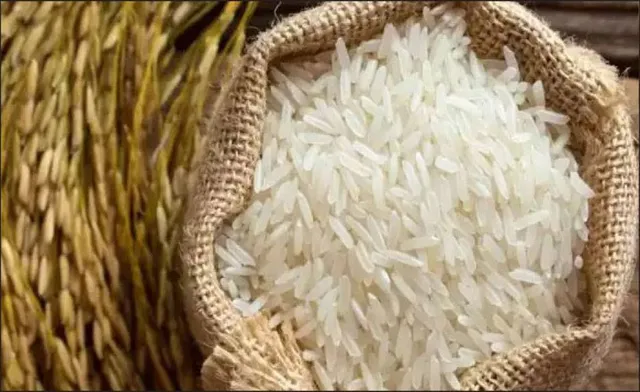କୃଷି ମନ୍ତ୍ରଣାଳୟ ଆକଳନ: ୮ ବର୍ଷ ପରେ ଏଥର ଚାଉଳ ଉତ୍ପାଦନ କମିବ