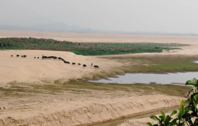 ମହାନଦୀ: ଅନ୍ୟ ଏକ ନାଁ ଓଡ଼ିଶାର ମରୁଭୂମି!