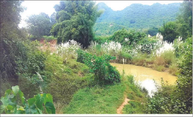 ୫ ପଞ୍ଚାୟତ ପାଇଁ ପାଲଟିଥାନ୍ତା ଜୀବନରେଖା: ଘୋଷଣାରେ ରହିଗଲା ଗୁଣ୍ଠୁଣିରେ ଆନିକଟ ନିର୍ମାଣ