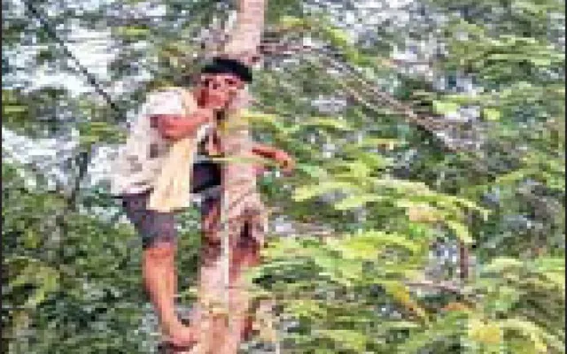 ୨୭ ଗାଁରେ ନାହିଁ ଫୋନ୍‌ ସେବା: ଗଛ ଚଢ଼ିଲେ ମିଳୁଛି ନେଟ୍‌ୱର୍କ