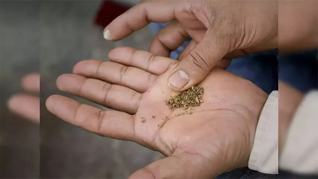 ଆଜି ବିଶ୍ବ ତମାଖୁମୁକ୍ତ ଦିବସ: ତମାଖୁମୁକ୍ତ ଶୈଶବ