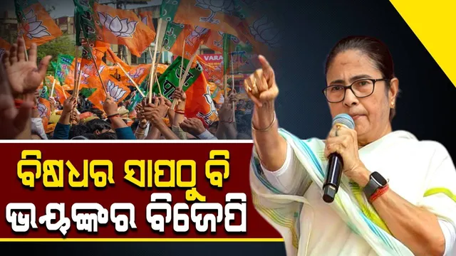 ବିଜେପି ବିଷଧର ସାପଠୁ ବଳି ଭୟଙ୍କର, ମମତା ବାନାର୍ଜୀଙ୍କ ବିବାଦୀୟ ବୟାନ