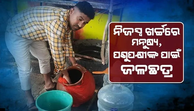 ଭଲ ଖବର: ନିଜ ଉଦ୍ୟମରେ ଜଳଛତ୍ର ଖୋଲି ମନୁଷ୍ୟ ଓ ପଶୁପକ୍ଷୀଙ୍କୁ ପାଣି ଦିଅନ୍ତି ଦିନ ମଜୁରିଆ