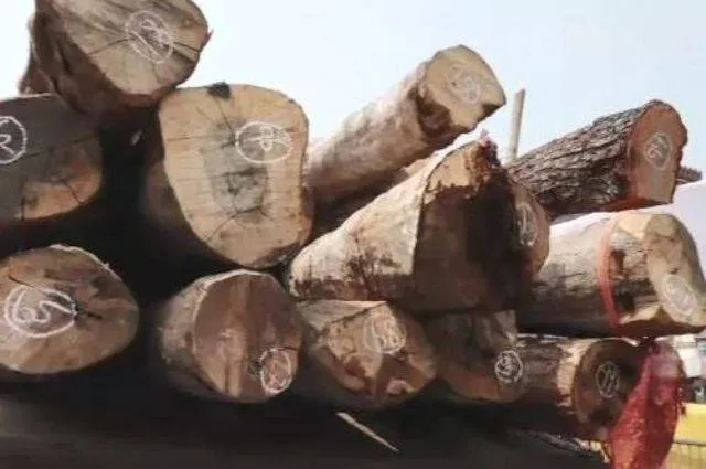 ତୃତୀୟ ପର୍ଯ୍ୟାୟ ରଥକାଠ ପହଞ୍ଚିଲା