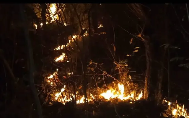 ହୁ ହୁ ହୋଇ ଜଳୁଛି ଜଙ୍ଗଲ; ବନ ବିଭାଗ ନିରବଦ୍ରଷ୍ଟା