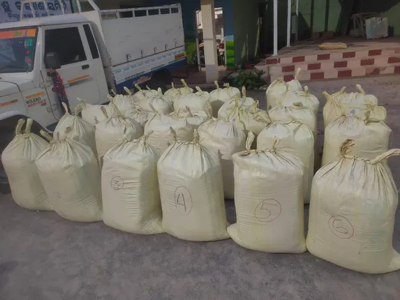 ଚାଲାଣ କରି ପାରିଲେନି ୮୪୦ କିଲୋ ଭାଙ୍ଗ; ଖୋର୍ଦ୍ଧାରେ ୨ ଅଭିଯୁକ୍ତ ଗିରଫ