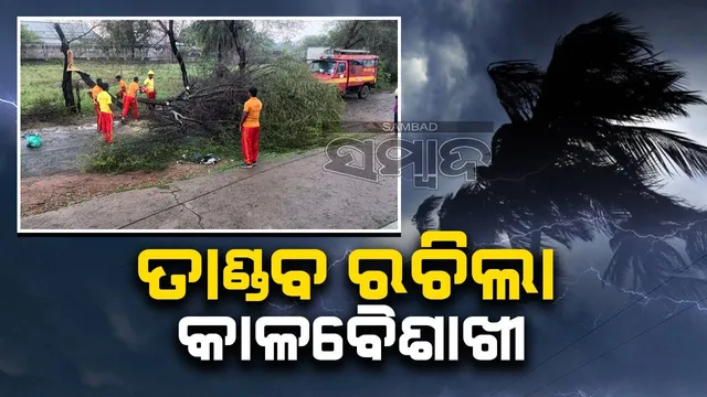 କଳାବୈଶାଖୀର ତାଣ୍ଡବ: ଉପୁଡ଼ିଲା ଗଛ, ବର୍ଷାରେ ଭିଜିଲା ମାଟି