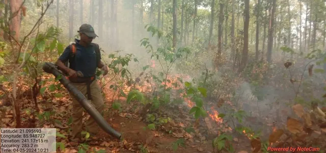 ପୁଣି ୫ ଜଙ୍ଗଲରେ ନିଆଁ