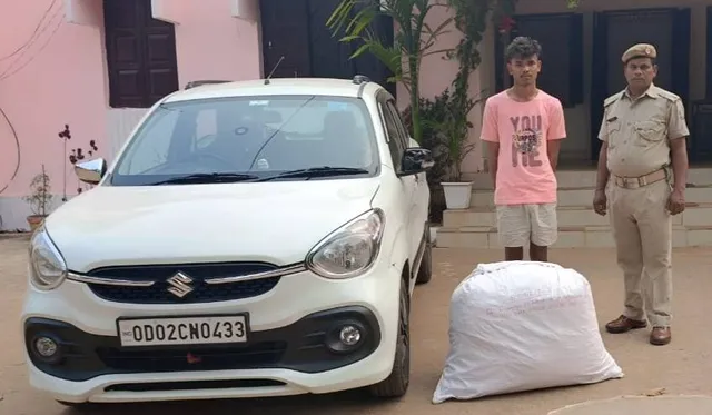 କାର୍ ସହ ୩୦କିଲୋ ଗଞ୍ଜେଇ ଜବତ, ଜଣେ ଗିରଫ