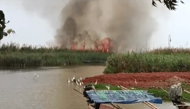 ମଝି ଚିଲିକାରେ ଅଗ୍ନିକାଣ୍ଡ: ବିପଦରେ ବନ୍ୟଜନ୍ତୁଙ୍କ ଜୀବନ