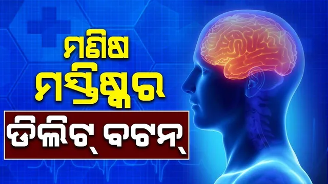 କମ୍ପ୍ୟୁଟର ଭଳି ମସ୍ତିଷ୍କରେ ବି ରହିଛି ଡିଲିଟ୍ ବଟନ୍