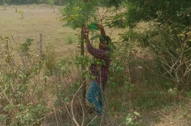 ତୃଷାର୍ତ୍ତ ପକ୍ଷୀଙ୍କ ପାଇଁ ଦେବଦୂତ ସାଜିଛନ୍ତି ରଶ୍ମିରଞ୍ଜନ