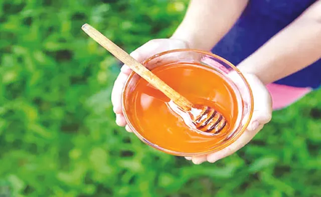 ମଶାକାମୁଡ଼ାର ତତ୍କାଳ ଉପଚାର