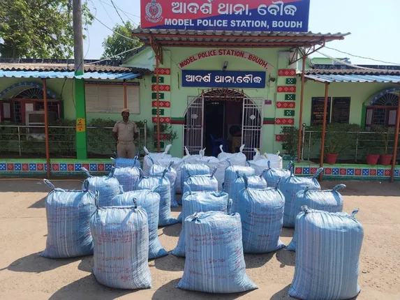 ଜଂଗଲରୁ ୮ କୁଇଣ୍ଟାଲ ଗଞ୍ଜେଇ ଜବତ