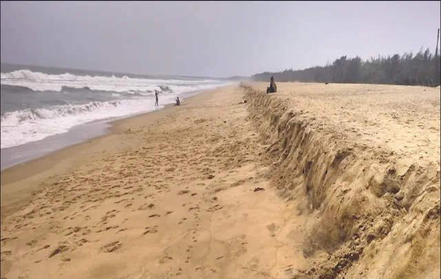 ଜଳବାୟୁ ପରିବର୍ତ୍ତନ ପ୍ରଭାବ: ଧୋଇଗଲା ବେଳାଭୂମି, ଗଣ-ଅଣ୍ଡାଦାନରେ ବିଳମ୍ବ