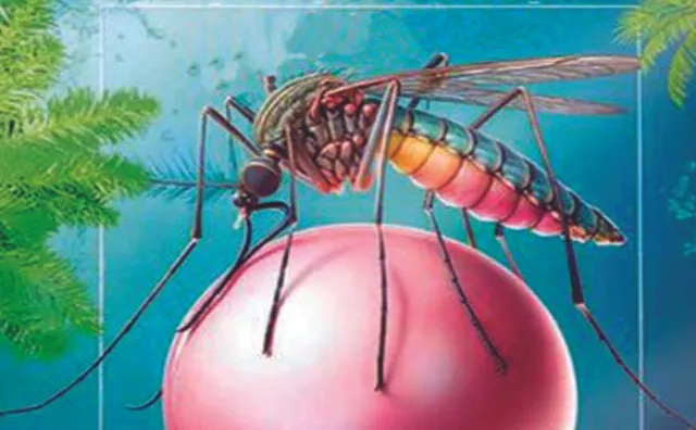 ଓଡ଼ିଶାରେ ସର୍ବାଧିକ ମ୍ୟାଲେରିଆ ରୋଗୀ: ମଶାଙ୍କୁ ସୁହାଉଛି ଉଷ୍ମ ଓ ଆର୍ଦ୍ର ପରିବେଶ
