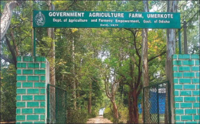 କୃଷି ବିଭାଗ ନାଚାର: ଜବରଦଖଲରେ ସରକାରୀ କୃଷି ଫାର୍ମ