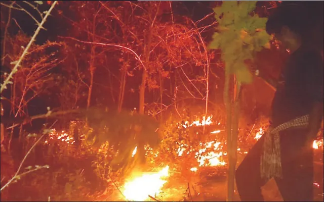 ଜଳୁଛି ଗୁମ୍ମା ସଂରକ୍ଷିତ ଜଙ୍ଗଲ: ପାହାଡ଼ରୁ ପାହାଡ଼କୁ ବ୍ୟାପୁଛି ନିଆଁ