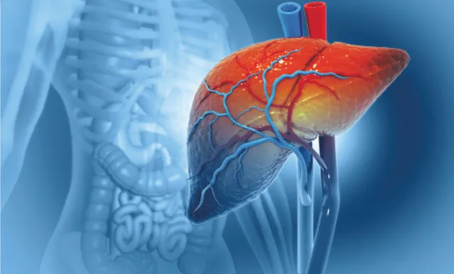 ଯକୃତ ପ୍ରତିରୋପଣ: ପୂରା ନୁହେଁ, ଏକ  ଅଂଶରୁ  ସମ୍ଭବ