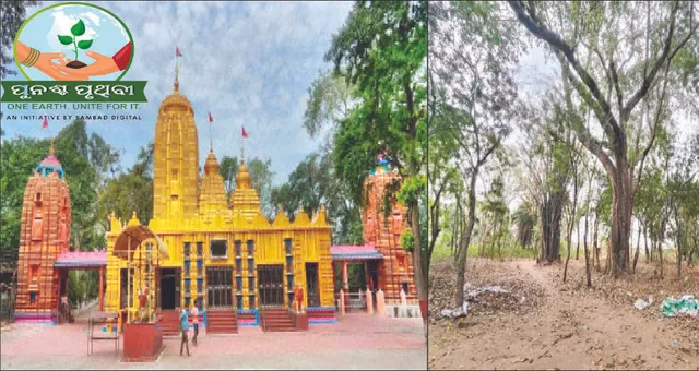 ଦ୍ରୁତ ଶିଳ୍ପାୟନର କବର ଭିତରକୁ ଚାଲିଗଲାଣି ସବୁଜିମା: ଏବେ କେବଳ ଈଶ୍ବର ଅଛନ୍ତି, ଝାଡ଼୍‌ ନାହିଁ