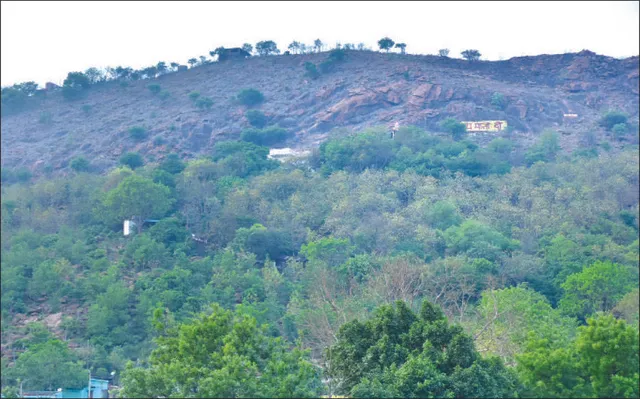 ଲାଗିଗଲା ୬୦ବର୍ଷରୁ ଅଧିକ ସମୟ: ଲଣ୍ଡାପାହାଡ଼ ଏବେ ସବୁଜବନାନୀ