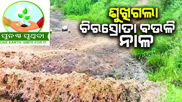 ଶୁଖିଗଲା ଚିରସ୍ରୋତା ବଉଳି ନାଳ