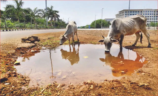 ସକାଳୁ ନିଆଁବର୍ଷା: ତାତିରେ ଆଉଟୁପାଉଟୁ ରାଜଧାନୀବାସୀ