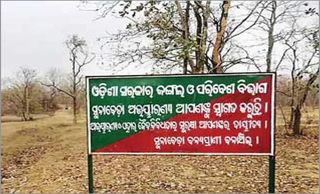 ସୁନାବେଡ଼ା ଅଭୟାରଣ୍ୟରେ ଜଳାଭାବ: ଗାଁମୁହାଁ ତୃଷାର୍ତ୍ତ ବନ୍ୟପ୍ରାଣୀ