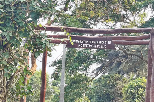 ବାଲୁଖଣ୍ଡକୁ ବିଳମ୍ବରେ ଆସିବେ କୃଷ୍ଣସାର: ଖରା ପାଇଁ ଘୁଞ୍ଚିଲା ତିନି ମାସ