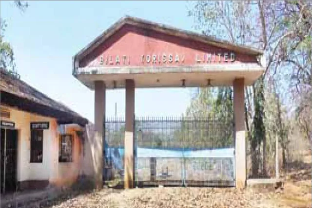 ବିଲାତି ଅଛି, ‘ବିଲାତି ଓଡ଼ିଶା’ ନାହିଁ