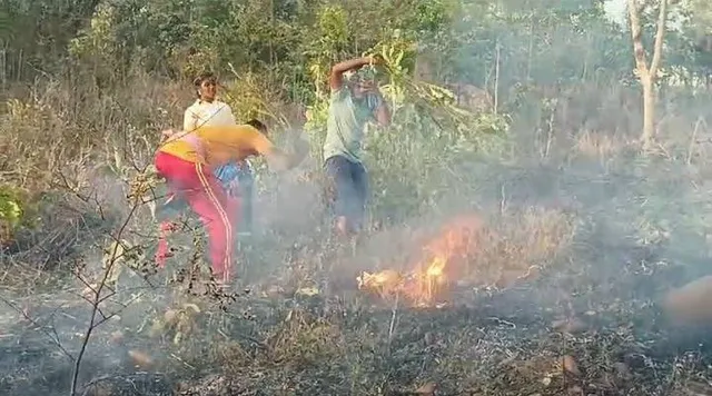 ଉଦ୍ୟାନ କୃଷି ବିଭାଗ ବଗିଚାରେ ନିଆଁ, ପୋଡ଼ିଗଲା ୨ ଶହ ଗଛ