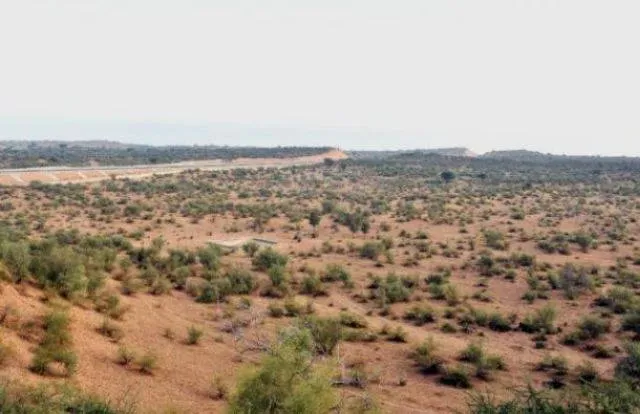 ୧୦୦ ବର୍ଷ ମଧ୍ୟରେ ରାଜସ୍ଥାନରୁ ମରୁଭୂମି ଉଭେଇ ଯିବ: ବୈଜ୍ଞାନିକଙ୍କ ଭବିଷ୍ୟବାଣୀ