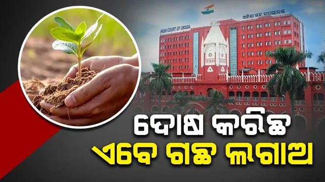 ଦୋଷୀଙ୍କୁ ଜାମିନ ଦେବା ସହ ଆମ୍ବ ଓ ତେନ୍ତୁଳି ଗଛ ଲଗାଇବାକୁ ନିର୍ଦ୍ଦେଶ ଦେଲେ ହାଇକୋର୍ଟ