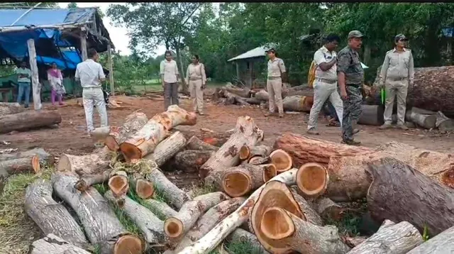 ବେଆଇନ କରତକଳ ଉପରେ ବନବିଭାଗର ଚଢାଉ, ୪ ଲକ୍ଷରୁ ଉର୍ଦ୍ଧ୍ବ ଟଙ୍କାର କାଠ ଏବଂ ଯନ୍ତ୍ରାଶ ଜବତ