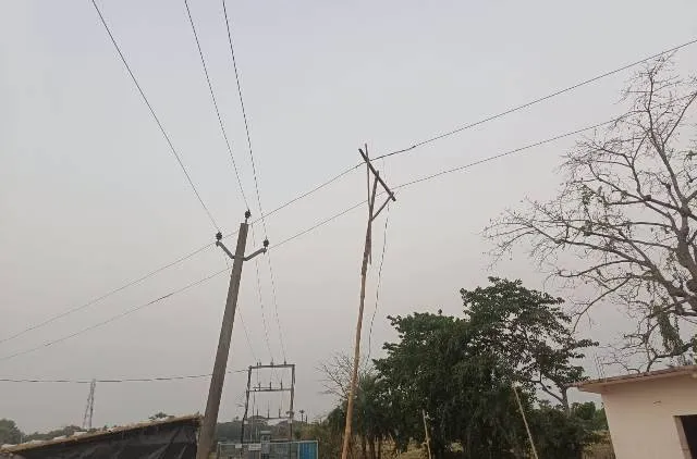 ବିଦ୍ୟୁତ୍‌ ବିଭାଗକୁ ବାଉଁଶ ଢିରା