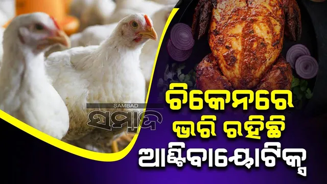 ଆମେ ଖାଉଥିବା ଚିକେନରେ ଭରି ରହିଛି ଆଣ୍ଟିବାୟୋଟିକ୍ସ, ମଣିଷ ଶରୀର ଉପରେ ଏହାର ପ୍ରଭାବ ସଂପର୍କରେ ଜାଣନ୍ତୁ
